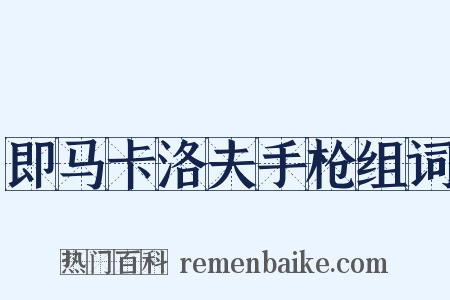 即马卡洛夫手枪组词是什么意思的图片